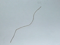 Aufschießen Schritt 1