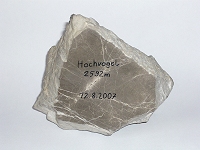Hohvogel