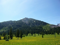 Vilser Kegel