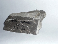 Widderstein